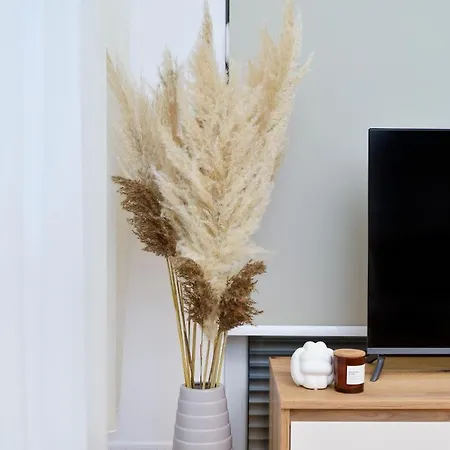 Apartment Divine & Delight